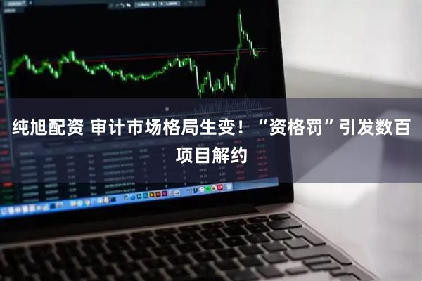 纯旭配资 审计市场格局生变！“资格罚”引发数百项目解约